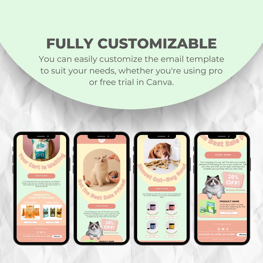 fully customizable email template