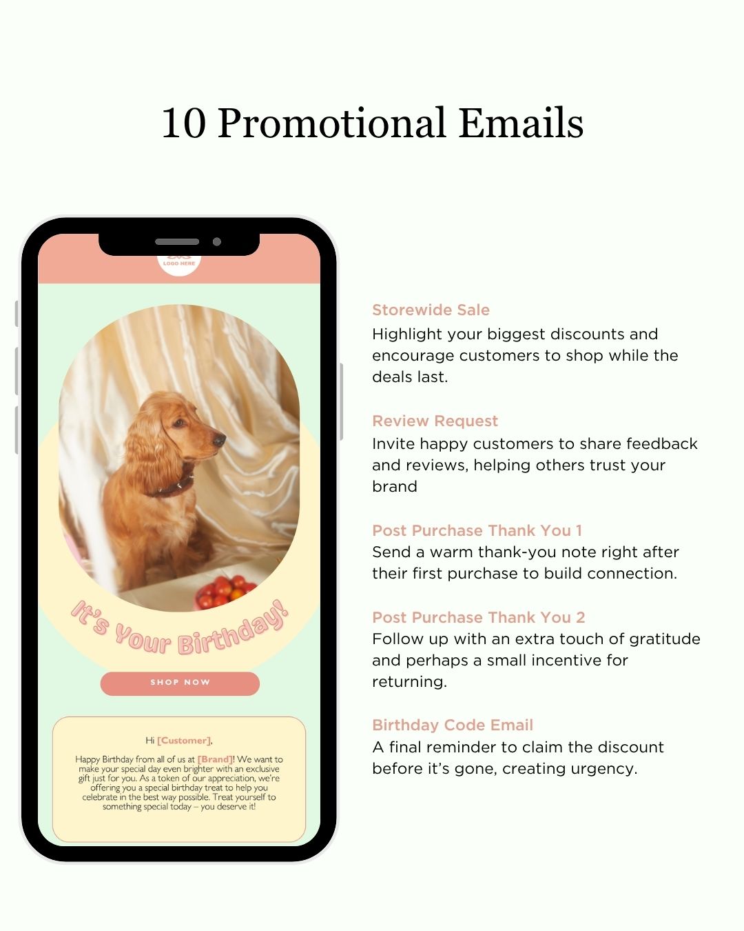 E-commerce Email Marketing Newsletter Canva Template Bundle for Klaviyo Mailchimp and Flodesk | Pet Food