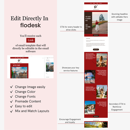 Screenshot of flodesk email template editor with features and examples on a pink background