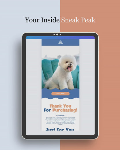 E-commerce Email Marketing Newsletter Canva Template Bundle for Klaviyo Mailchimp and Flodesk | Pet Grooming and Health Products